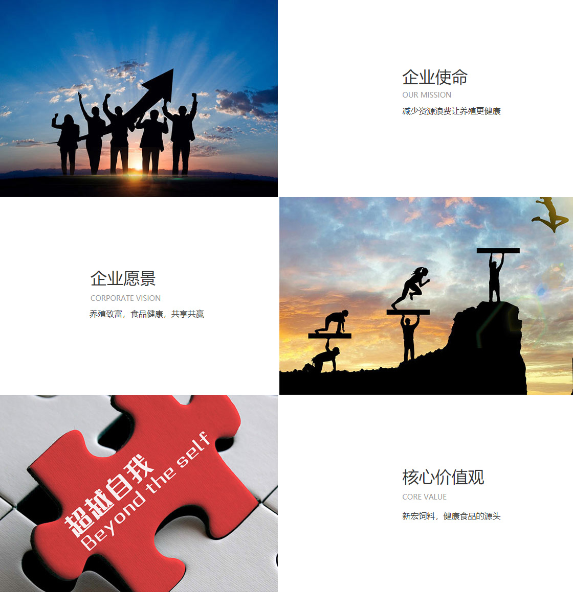 财神争霸app(图1)